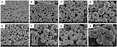 Synthesis of Double-Shell Hollow TiO2@ZIF-8 Nanoparticles With Enhanced Photocatalytic Activities